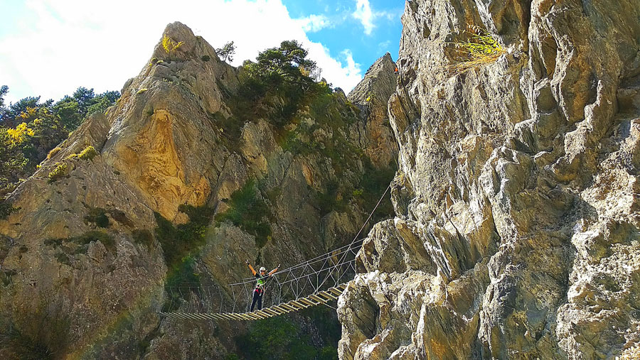 The suspension bridge
