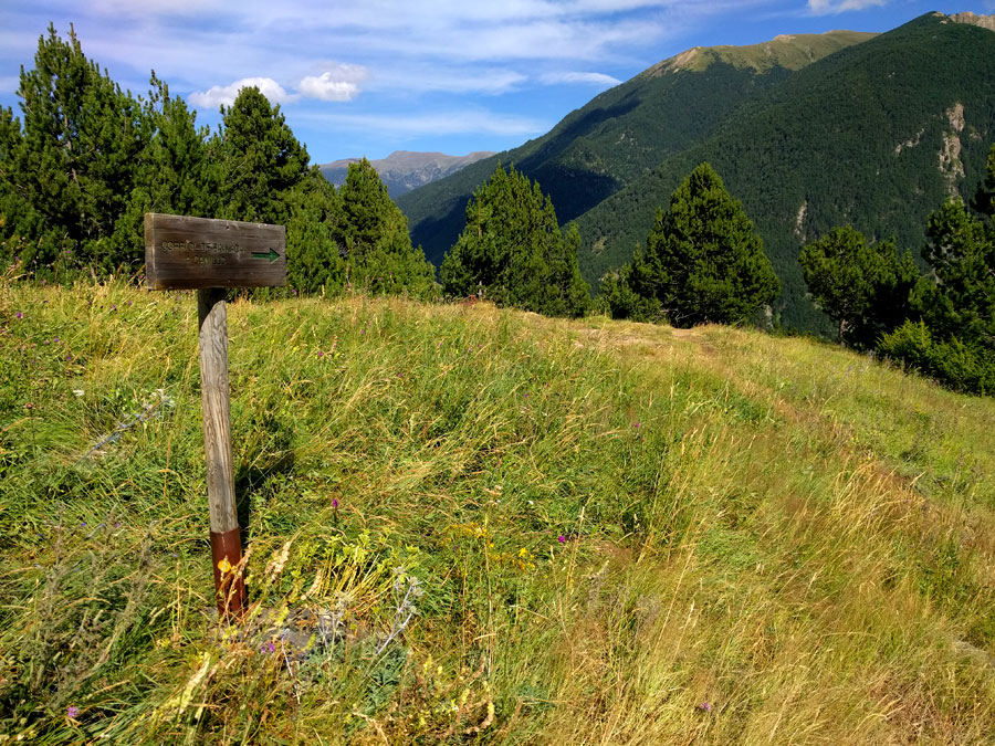 The return path is marked with this sign post and with yellow markings 