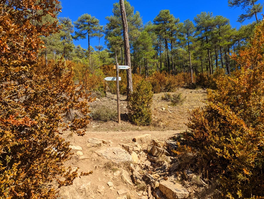 La pista se bifurca seguimos por el PR que baja a Uña por la Raya 