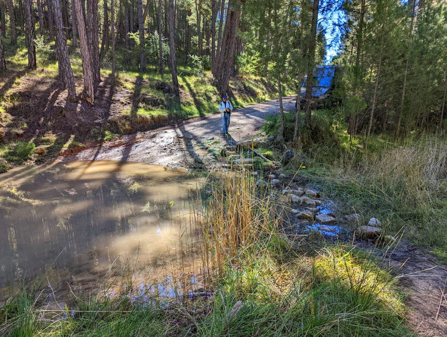 En la pista principal cruzamos el Arroyo de la madera -más abajo hay unas pozas para bañarse en verano-