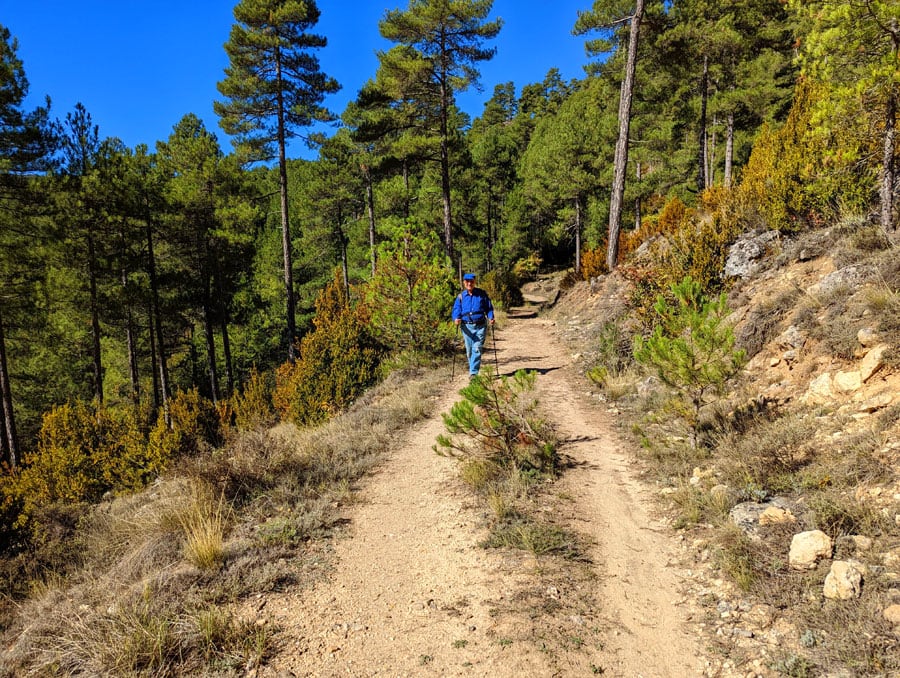 Después de un cruce a la derecha la pista se va estrechando 