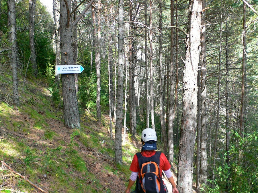 Sign marking the route 