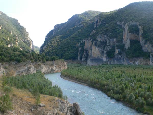 View of the river and of the trees 