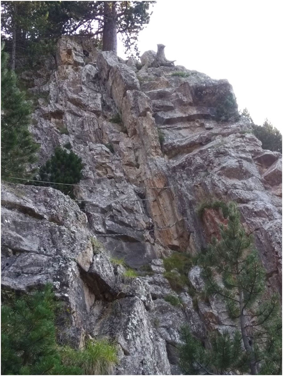 Descent to access the second bridge 