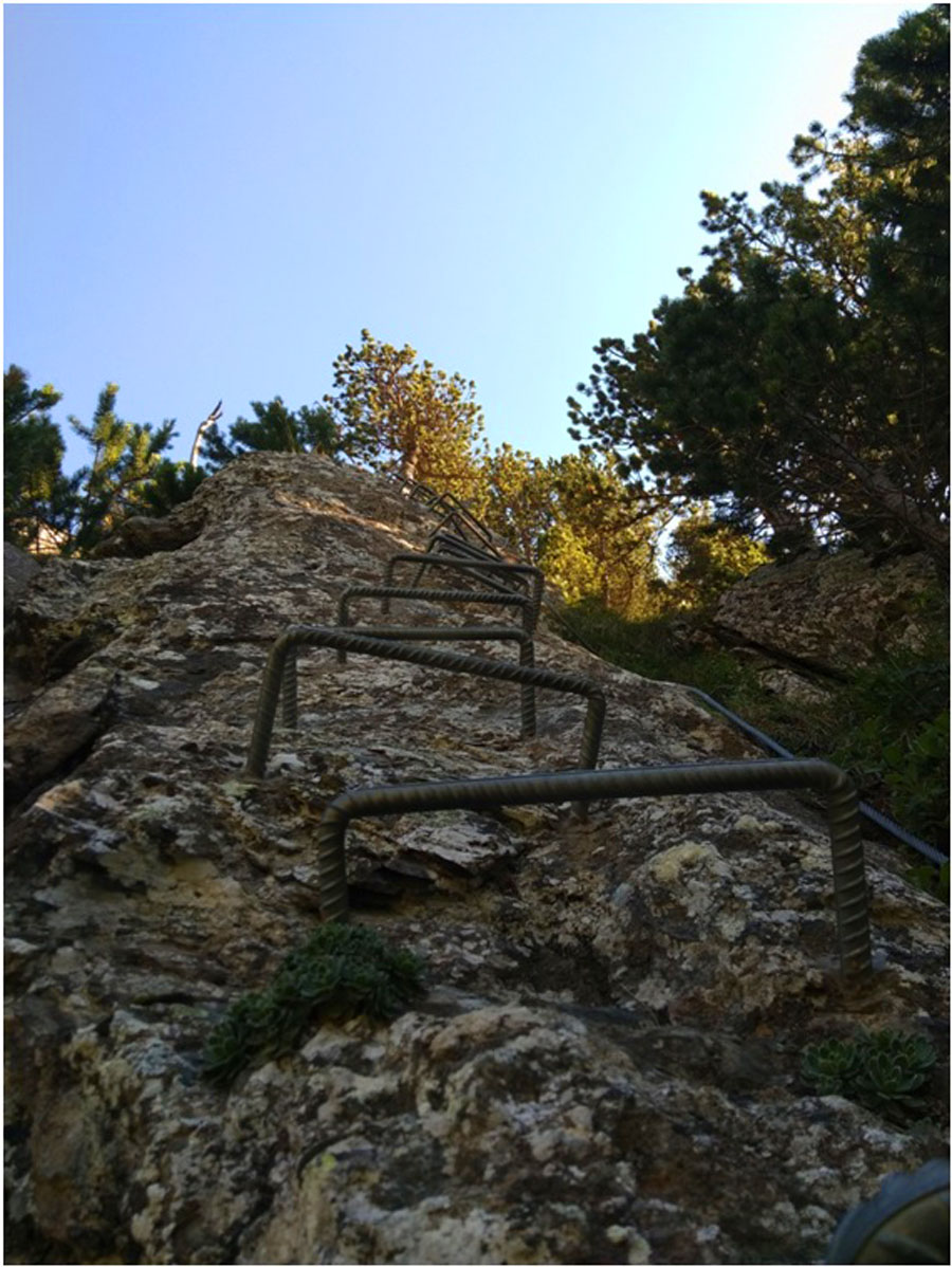 Vertical section at the beginning of the route 