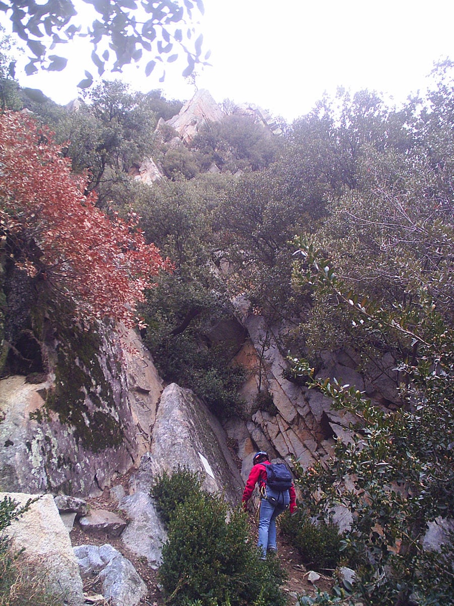 Start of the route. First stemples 