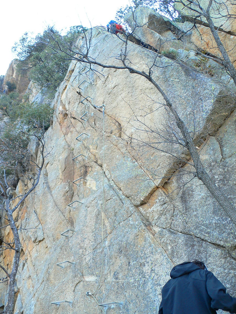 Same section seen from above 