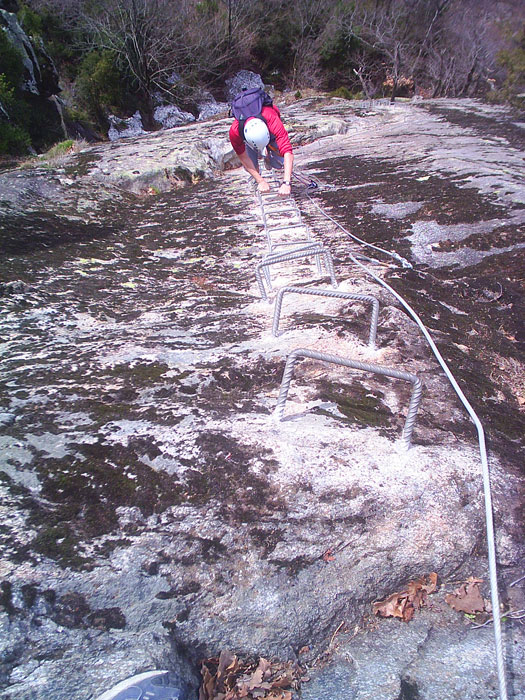 Stemples of the first wall 