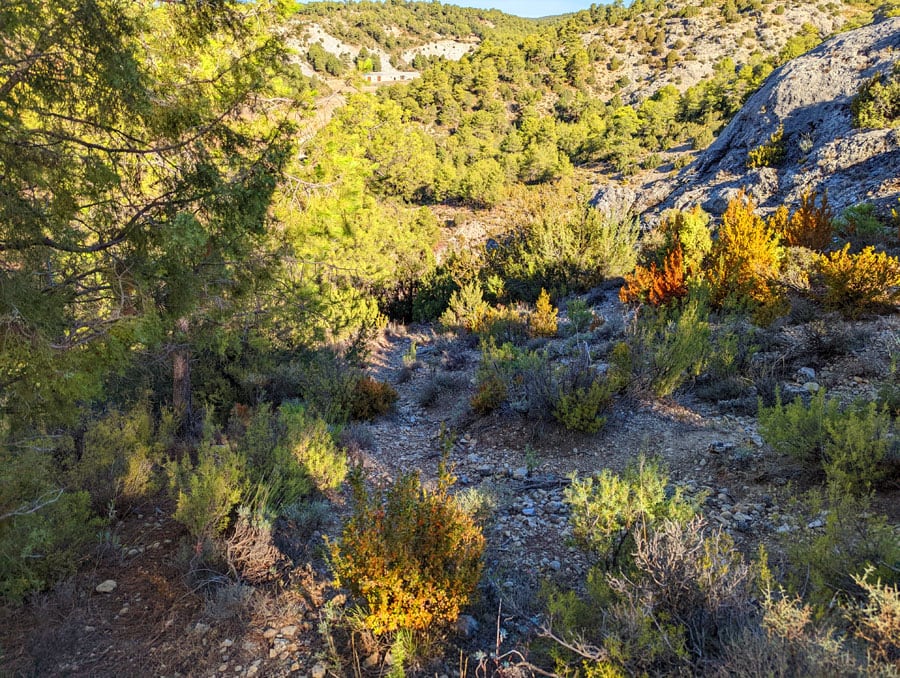 Camino de regreso directo a la caseta blanca 