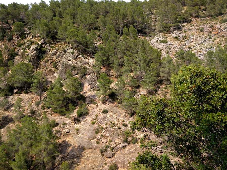 View towards the reception area of ​​the optional 70 meter zip line 
