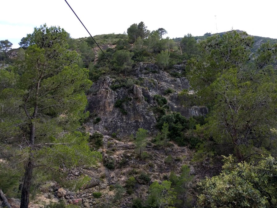 Back view from the end of the zip line 