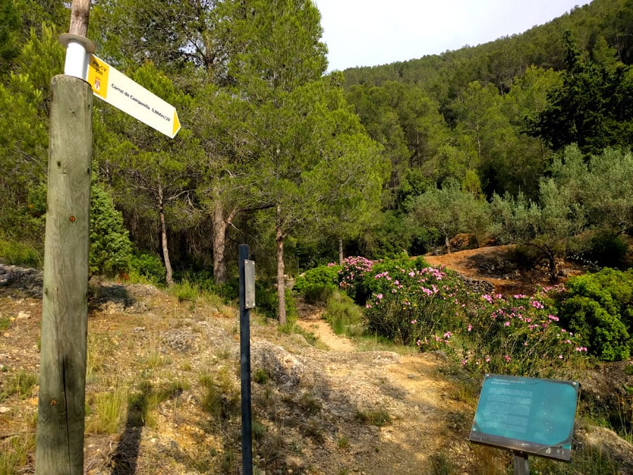 Back view of the path from which we came back 