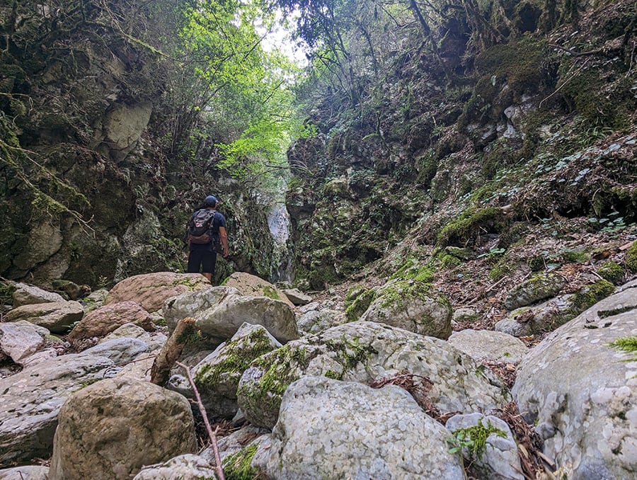 Nos vamos adentrando a un paisaje cada vez más solitario 
