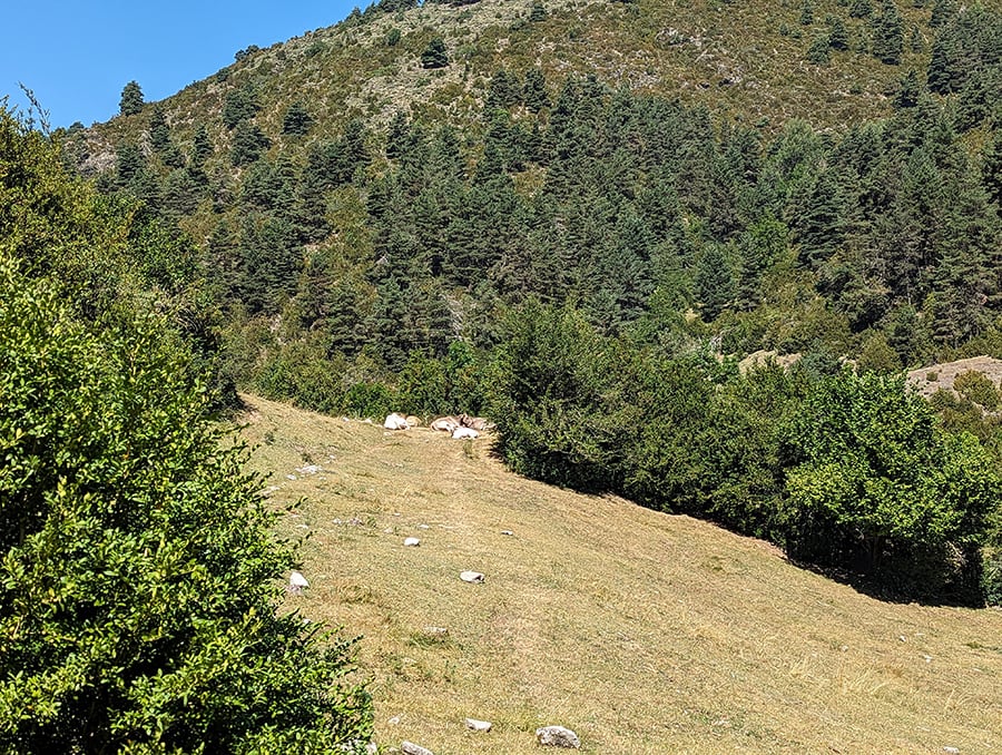 Caminamos por el prado en busca del sendero de subida al refugio 