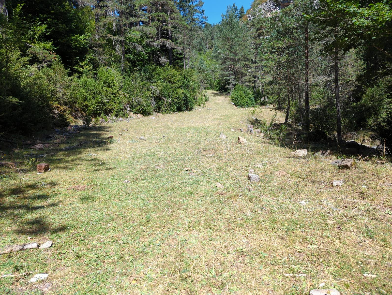 Salimos del torrente por este prado y seguimos la pista de subida 