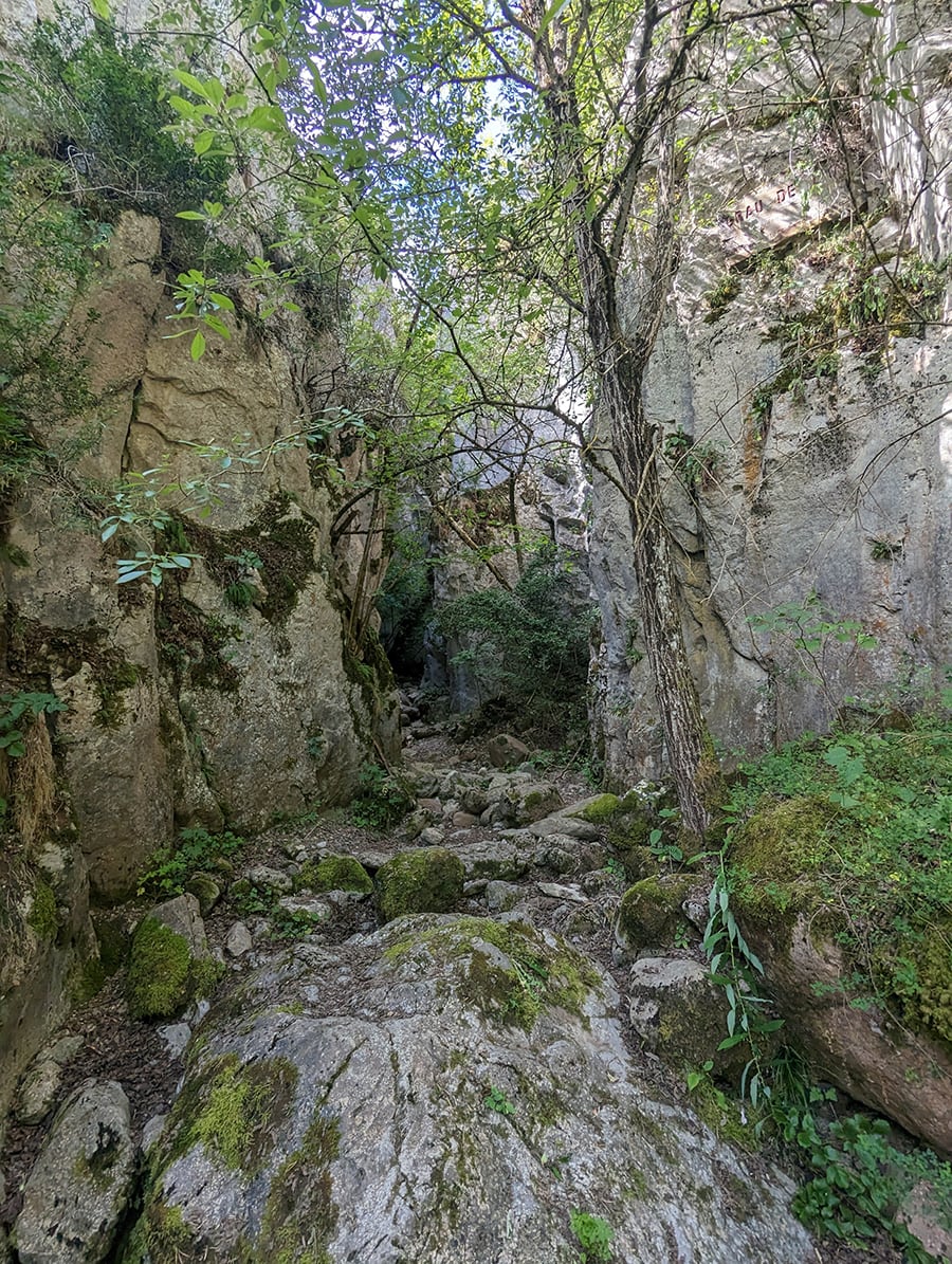 Entrada al Grau de l