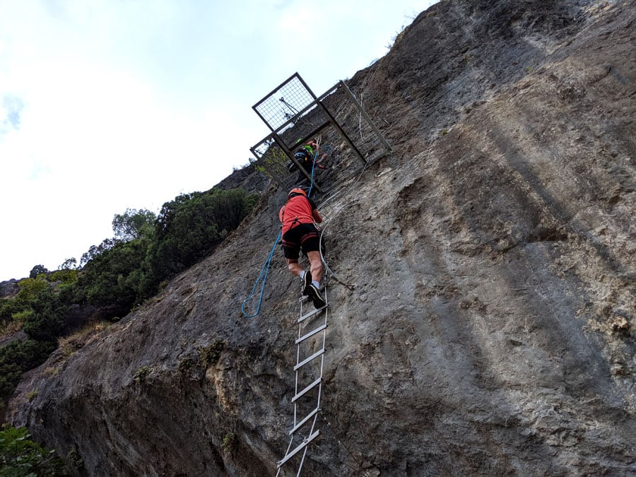 Rolling metal ladder and entrance 
