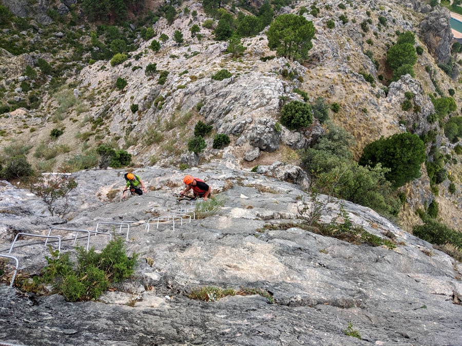 Downward view in the aerial area 