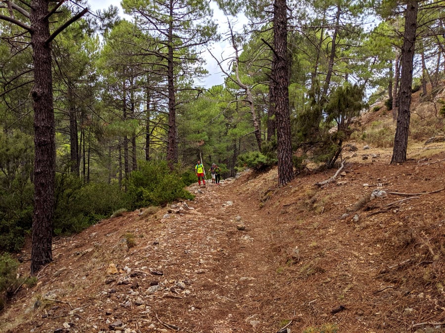 Return path 