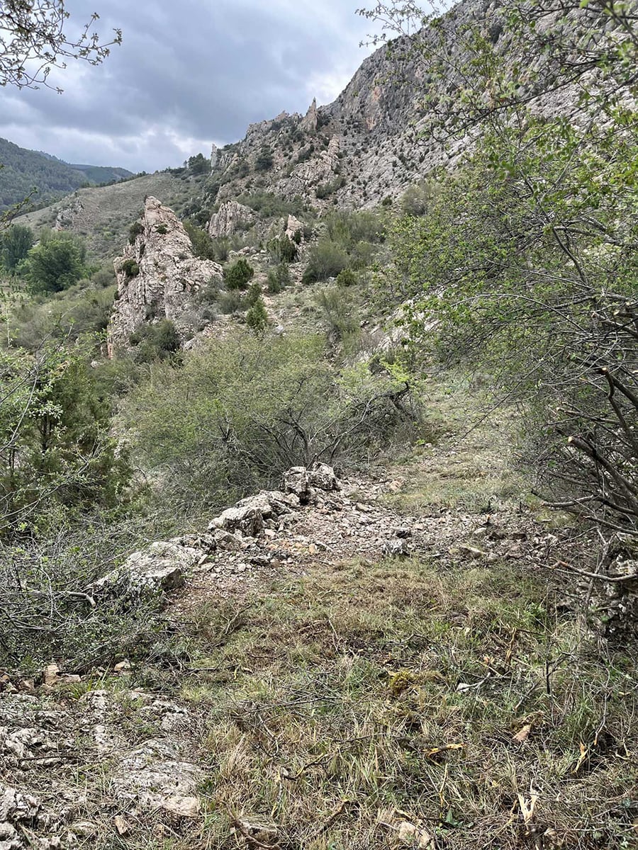 Sendero de enlace 