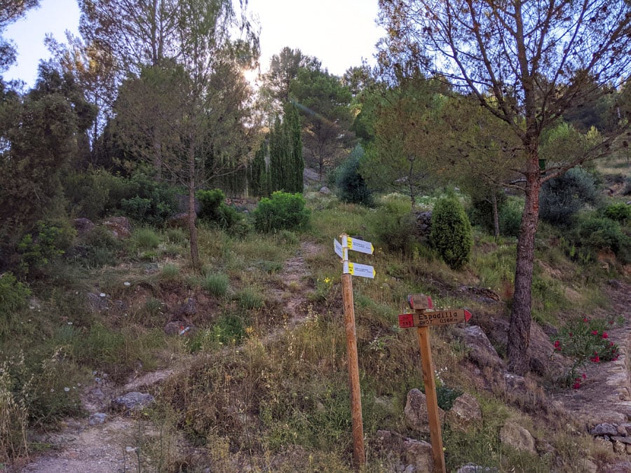 Entrada del camino  de aproximación hacia los cipreses. Luego seguimos a la derecha hacia el barranco 