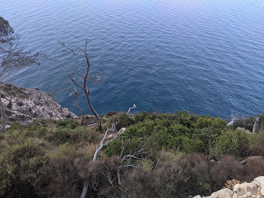 Camino estrecho y caída protegida por matorrales 