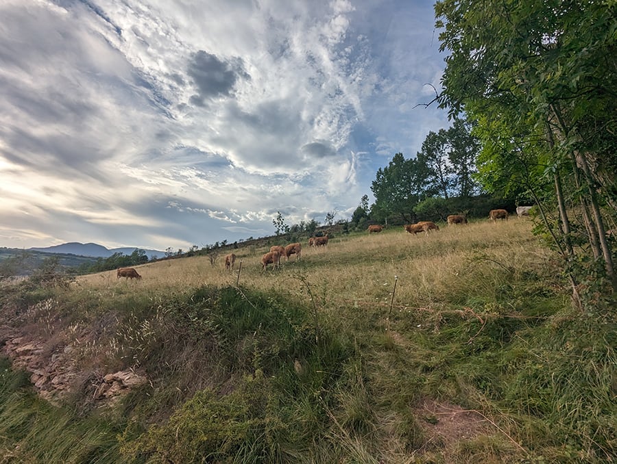 Imagen de postal típica  de la Cerdanya 