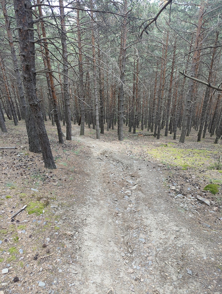 Bajada directa a la pista entre el bosque - sin señalizar- 