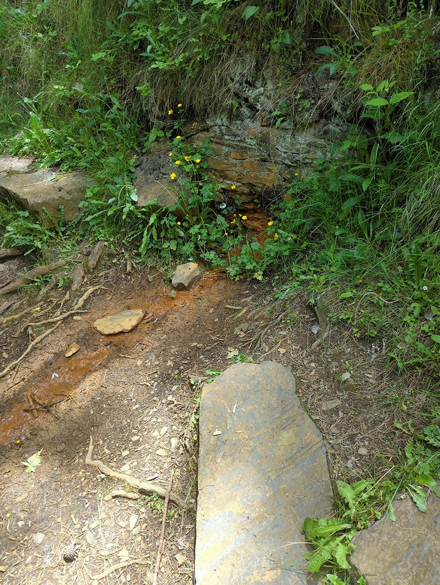 Surgencia de la fuente del Ferro 