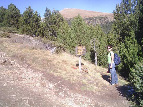 Sign posts to the parking area 
