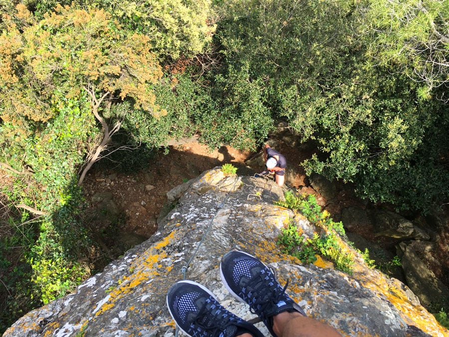 Corta y vertical 