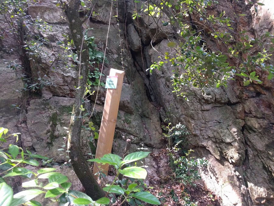 Indicador Roca Dreta 