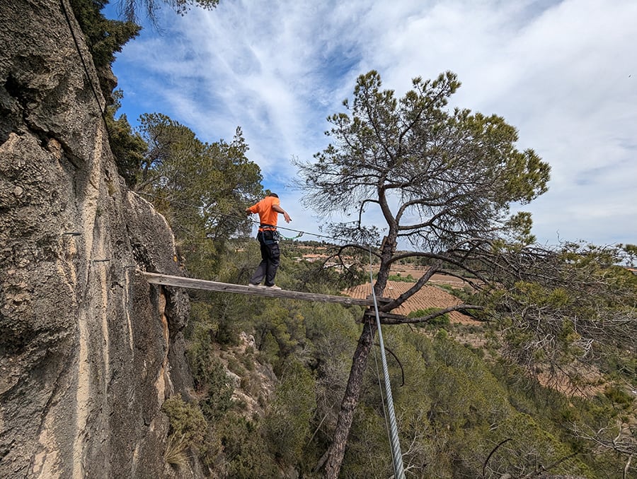 Paso de la viga en el árbol
