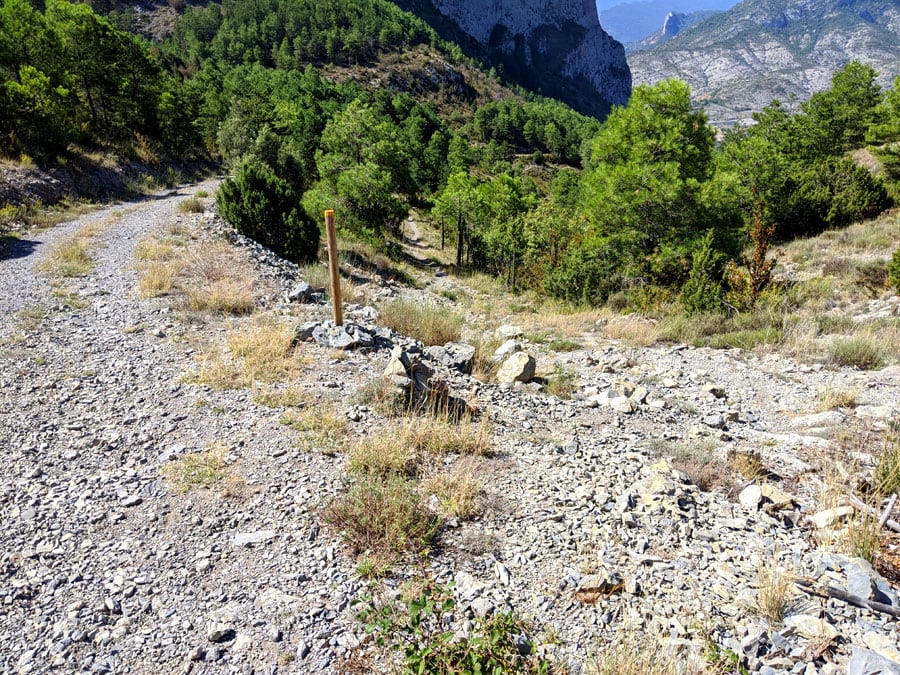 Atajo en la pista señalizado con postes y marcas amarillas 