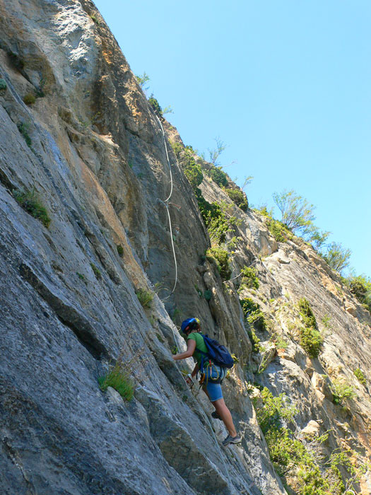 Segunda sección vertical 