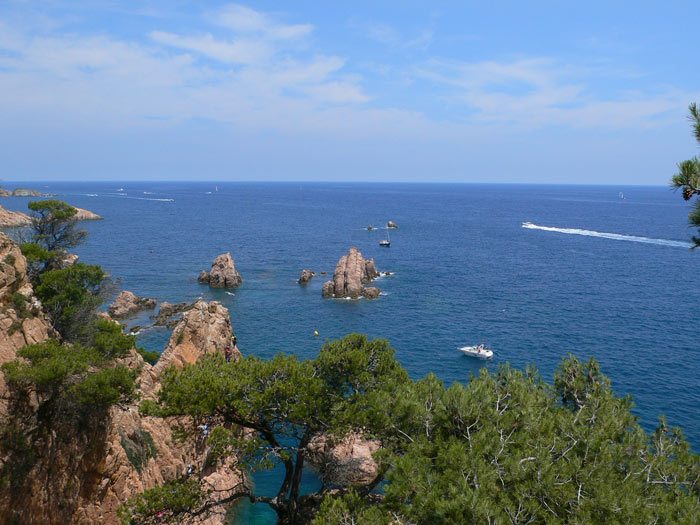 General view 