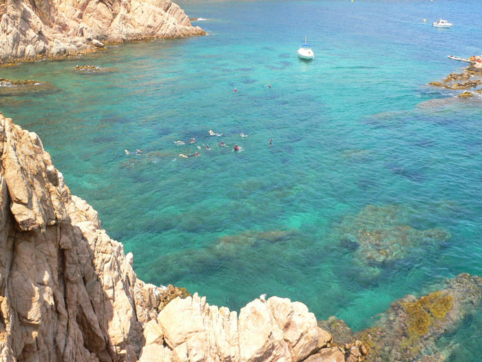 Some people snorkelling 