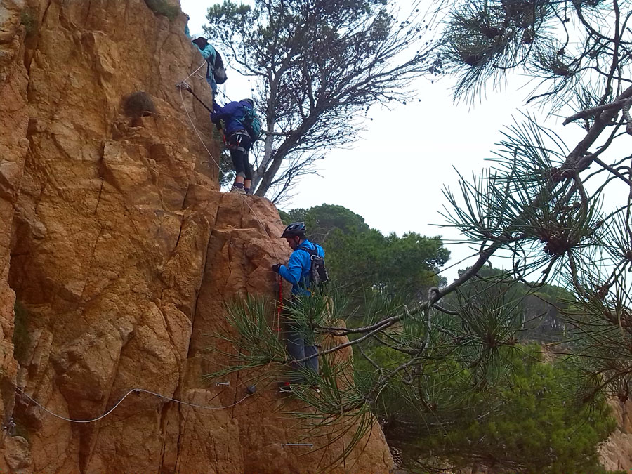 First section of the prow 