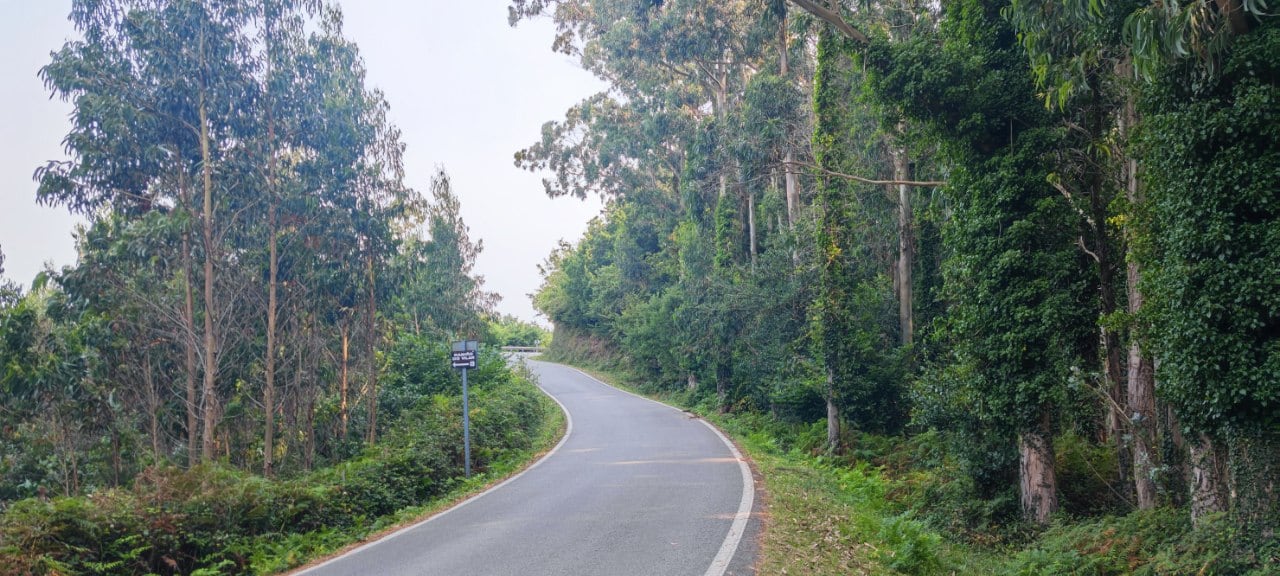 Carretera de acceso a la aproximación 
