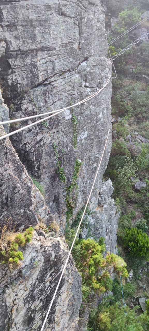 Puente nepalí 