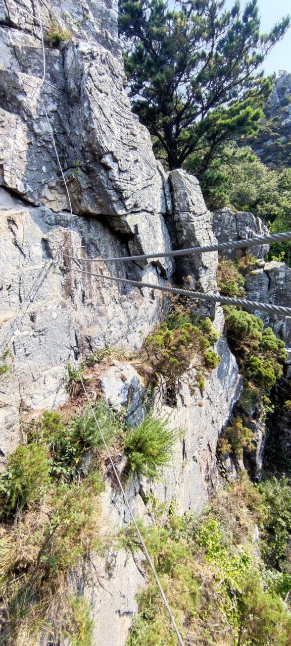 Puente nepalí 