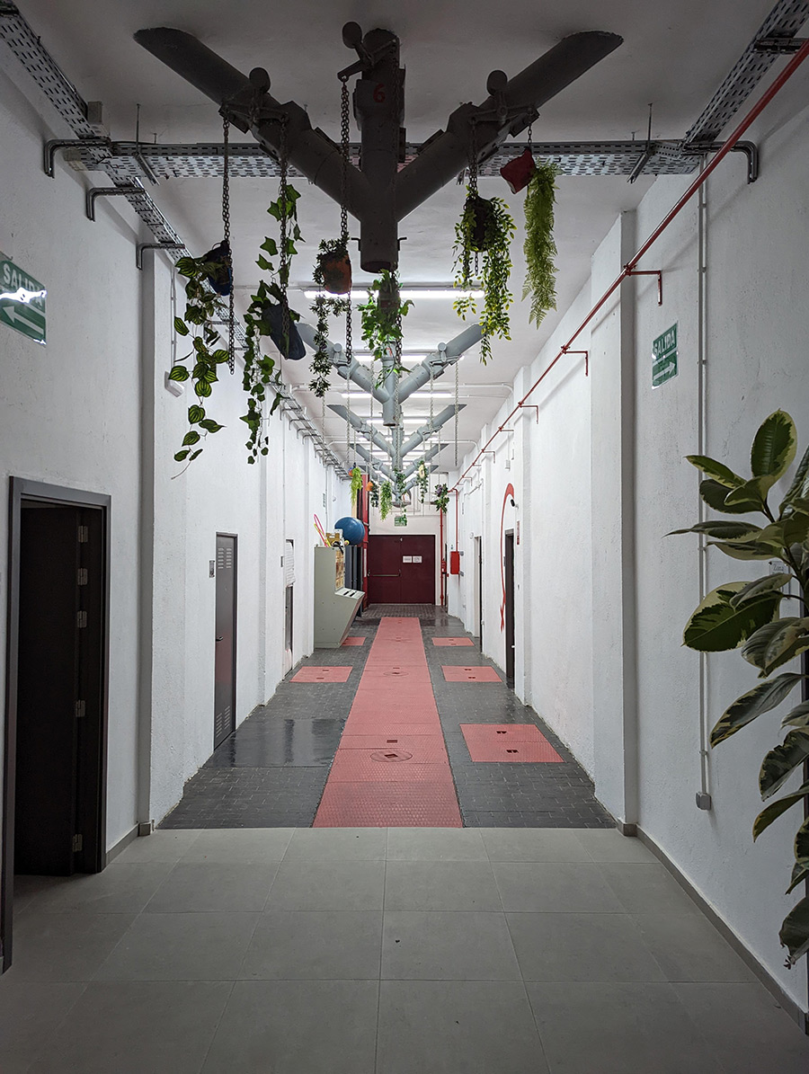 Vestíbulo de las instalaciones y recepción 