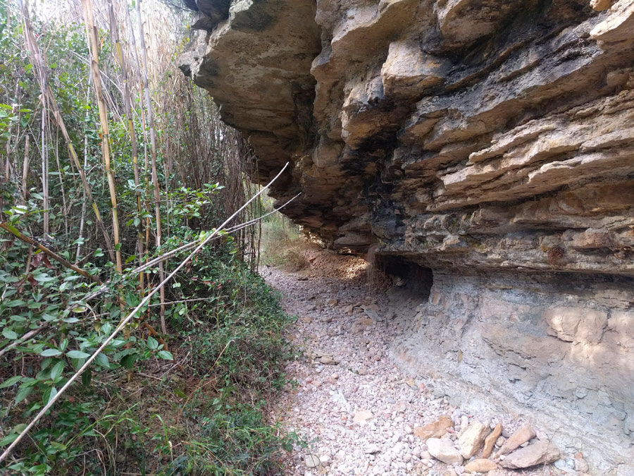 Caminamos por debajo de estas viseras naturales 