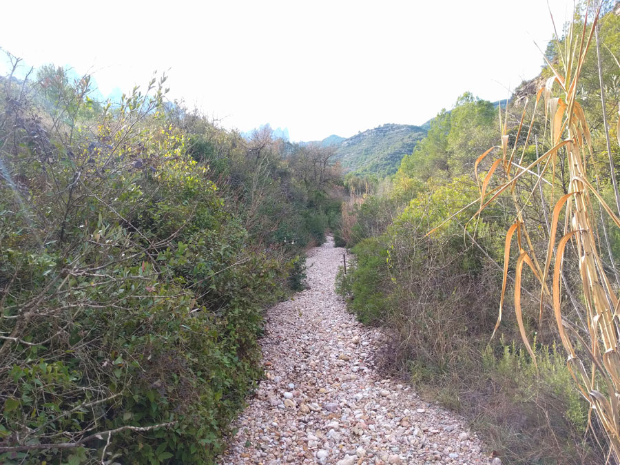 El torrente se abre y se convierte en una riera 