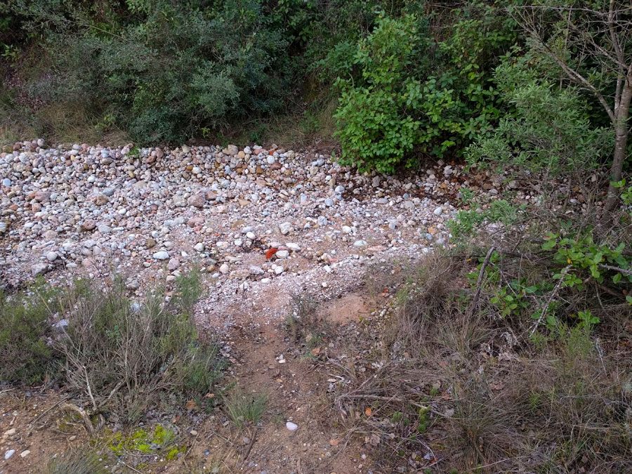 Salimos de la riera por un sendero a la derecha 