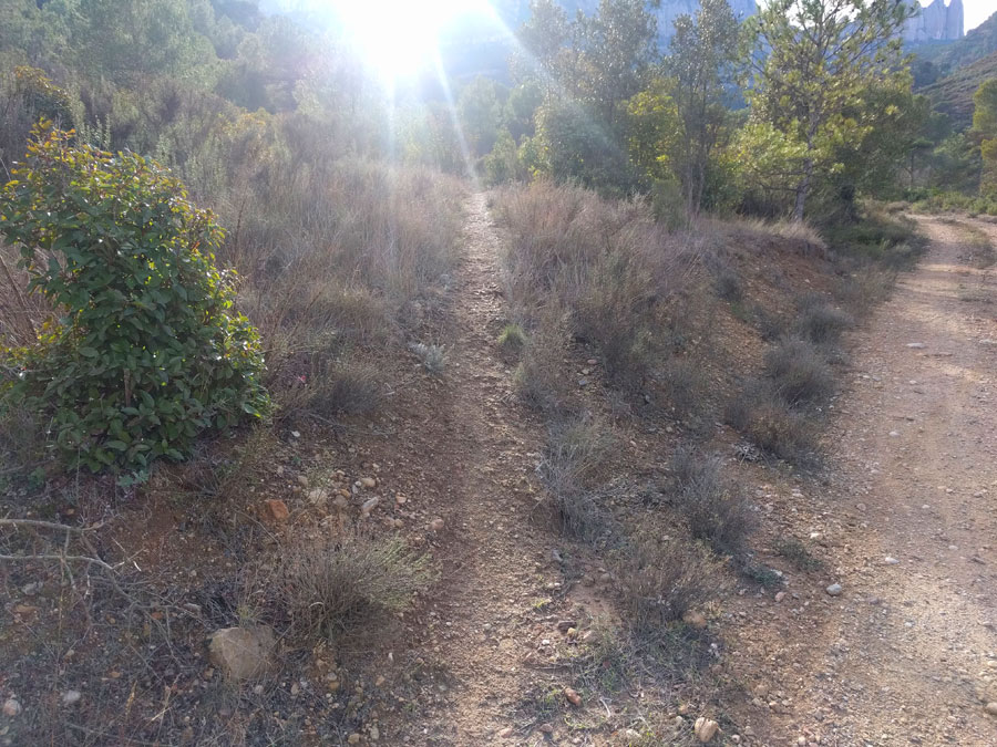 Tomamos este sendero que sube a la izquierda 