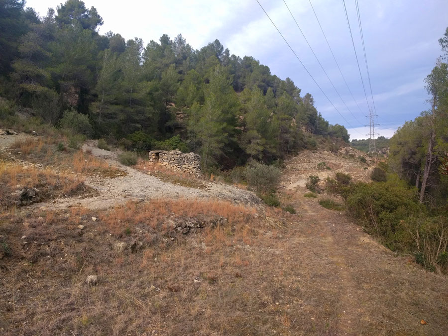 Seguimos caminando hacia la torre de alta tensión 