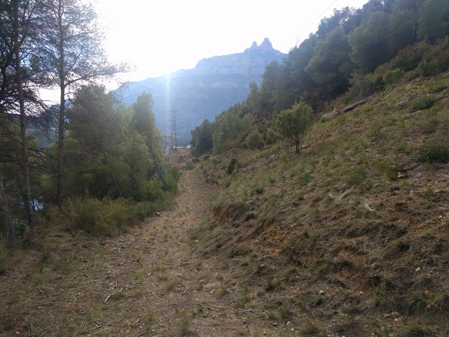Vista atrás al camino hacia la torre de alta tensión 