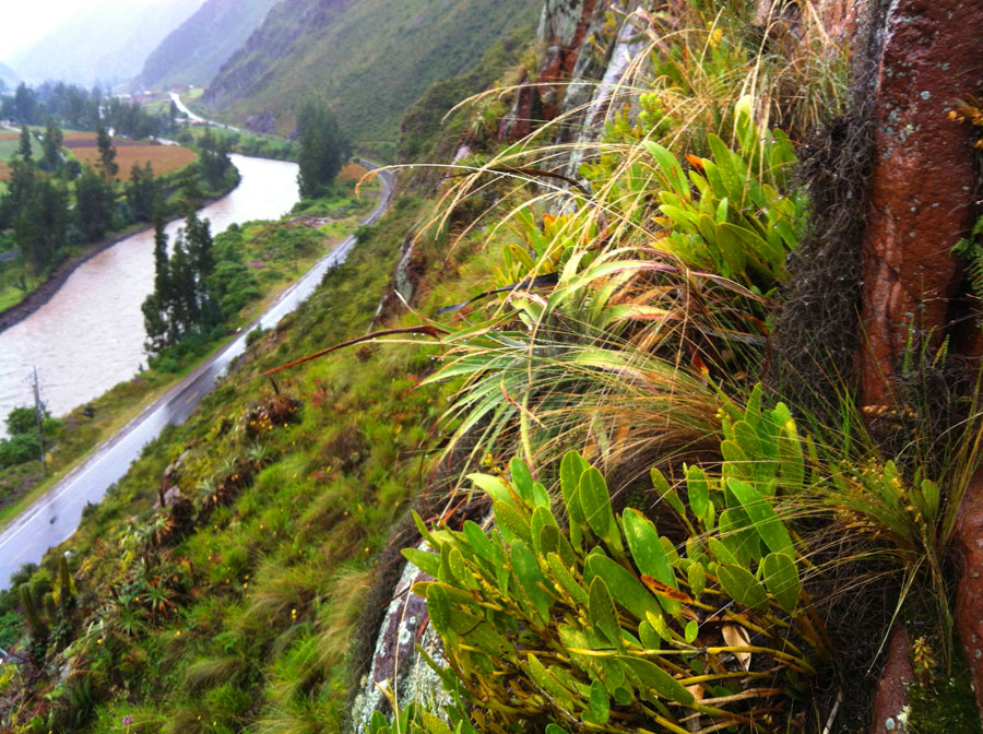 Views of the river Urubamba and the valle Sagrado 
