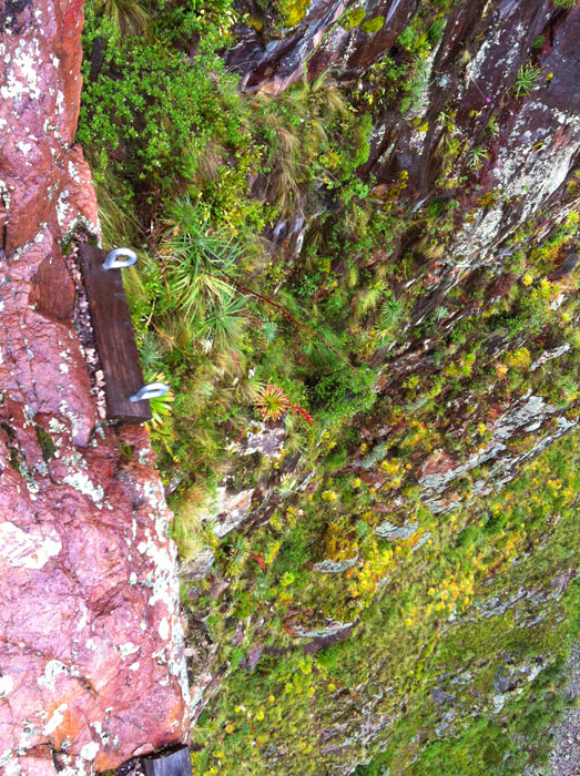 Rappel installation -end of the ferrata- 